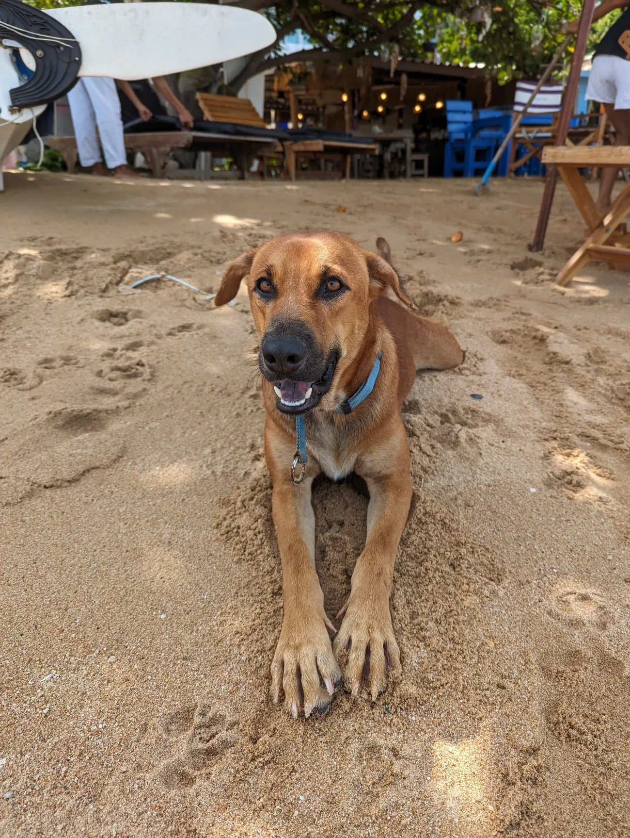 Otto am Strand